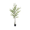 Kunstplant - Enkianthus perulatus L, Green