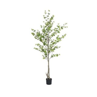 Pottery Pots Kunstplant - Enkianthus perulatus L, Green