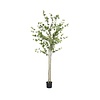 Kunstplant - Enkianthus perulatus XL, Green