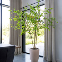 Pottery Pots Kunstplant - Enkianthus perulatus XL, Green
