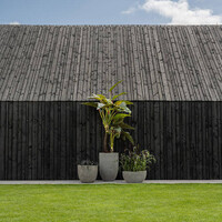 Pottery Pots Kunstplant - Alocasia L, Green