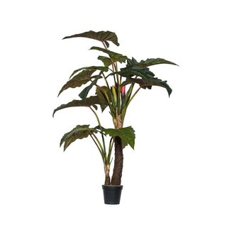 Pottery Pots Kunstplant - Alocasia L, Green