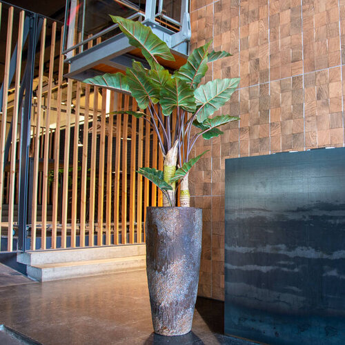 Pottery Pots Kunstplant - Alocasia M, Green