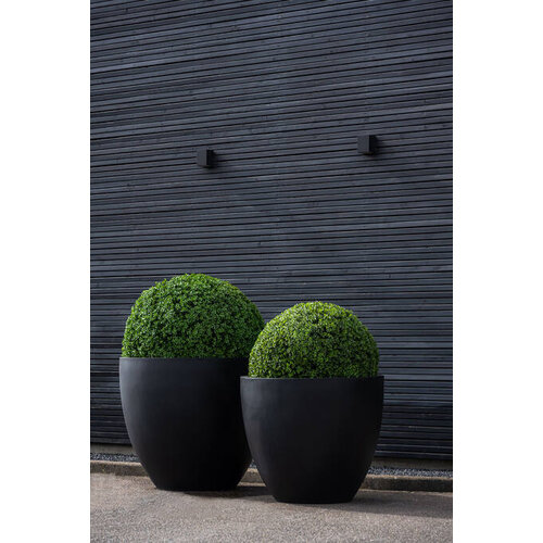 Pottery Pots Kunstplant - Buxus bol XXS, Green