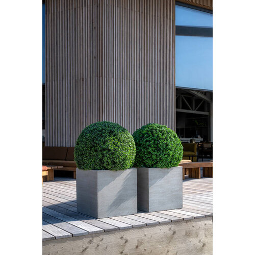 Pottery Pots Kunstplant - Buxus bol XS, Green