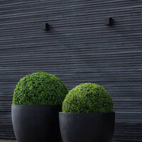 Pottery Pots Kunstplant - Buxus bol XS, Green
