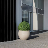 Pottery Pots Kunstplant - Buxus bol M, Green