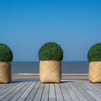 Pottery Pots Kunstplant - Buxus bol M, Green