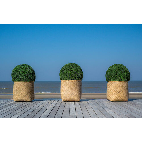 Pottery Pots Kunstplant - Buxus bol M, Green