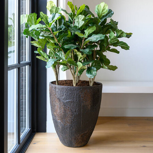 Pottery Pots Kunstplant - Ficus Lyrata XS, Green