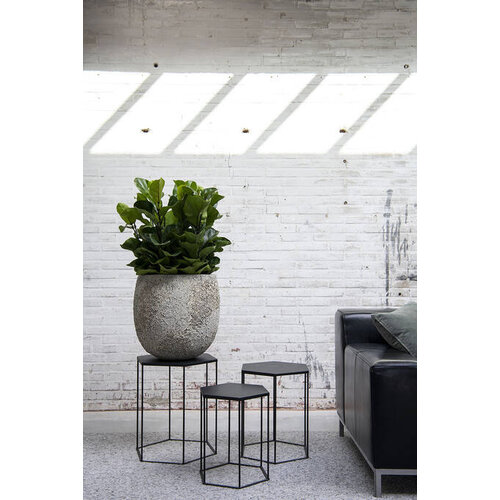 Pottery Pots Kunstplant - Ficus Lyrata XS, Green