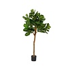 Kunstplant - Ficus Lyrata L, Green