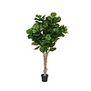Kunstplant - Ficus Lyrata XL, Green