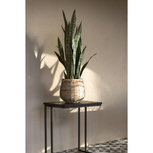 Pottery Pots Kunstplant - Sansevieria M, Green