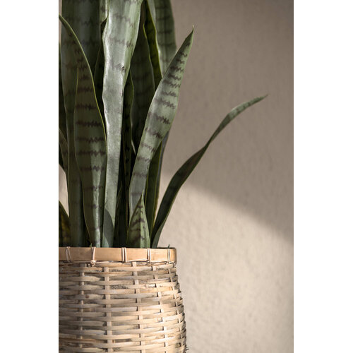 Pottery Pots Kunstplant - Sansevieria M, Green