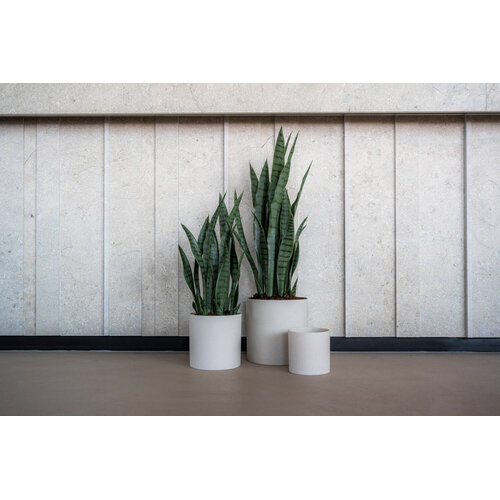 Pottery Pots Kunstplant - Sansevieria M, Green