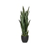 Kunstplant - Sansevieria M, Green
