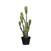 Kunstplant - Cactus Opuntia M, Green