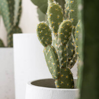 Pottery Pots Kunstplant - Cactus Opuntia M, Green