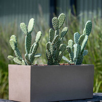 Pottery Pots Kunstplant - Cactus Opuntia M, Green