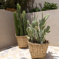 Pottery Pots Kunstplant - Cactus Opuntia M, Green