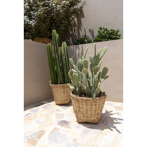 Pottery Pots Kunstplant - Cactus Opuntia M, Green