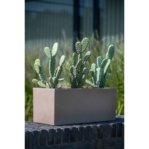 Pottery Pots Kunstplant - Cactus Opuntia L, Green