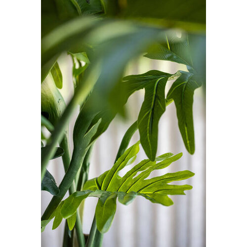 Pottery Pots Kunstplant - Philodendron L, Green
