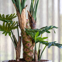 Pottery Pots Kunstplant - Philodendron L, Green
