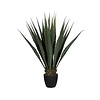 Kunstplant - Agave L, Green