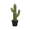 Kunstplant - Cactus Saguaro S, Green