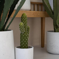 Pottery Pots Kunstplant - Cactus Saguaro M, Green