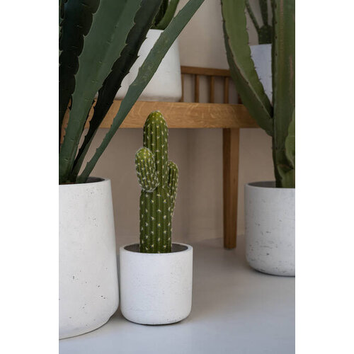 Pottery Pots Kunstplant - Cactus Saguaro M, Green