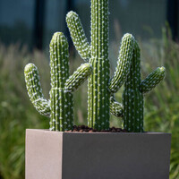 Pottery Pots Kunstplant - Cactus Saguaro M, Green