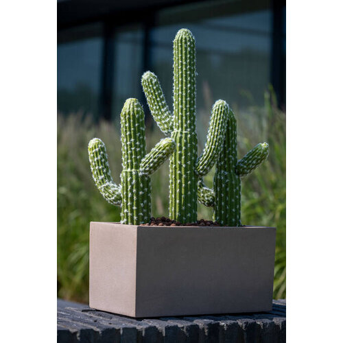 Pottery Pots Kunstplant - Cactus Saguaro M, Green