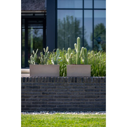 Pottery Pots Kunstplant - Cactus Saguaro M, Green