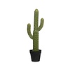 Kunstplant - Cactus Saguaro M, Green