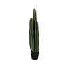 Kunstplant - Cactus San Pedro XL, Green