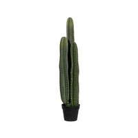 Pottery Pots Kunstplant - Cactus San Pedro XL, Green