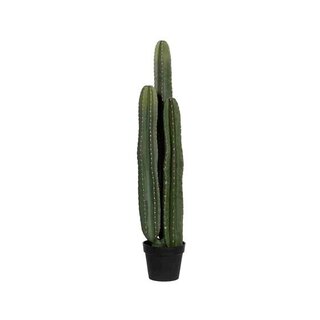 Pottery Pots Kunstplant - Cactus San Pedro XL, Green