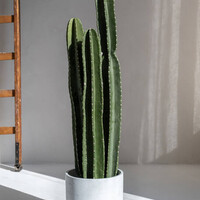 Pottery Pots Kunstplant - Cactus San Pedro XL, Green