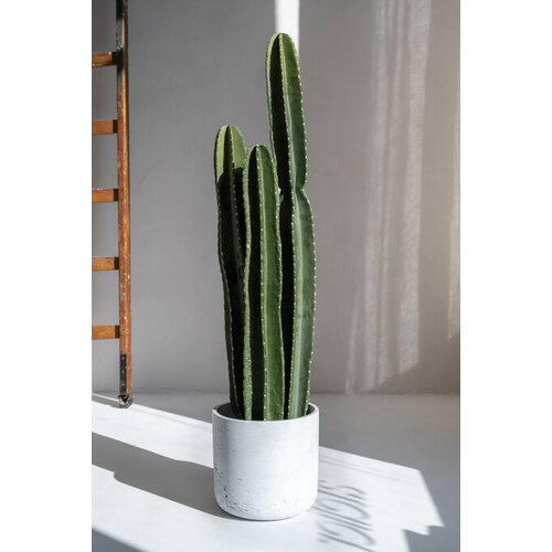 Pottery Pots Kunstplant - Cactus San Pedro XL, Green