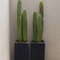 Pottery Pots Kunstplant - Cactus San Pedro XL, Green