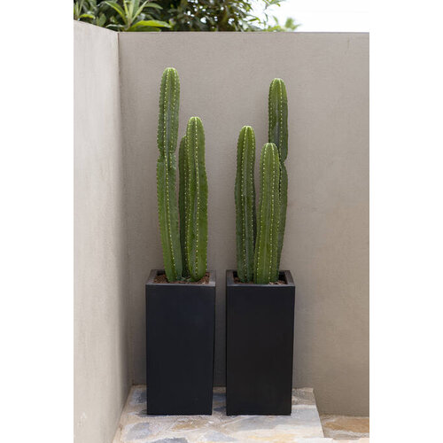 Pottery Pots Kunstplant - Cactus San Pedro XL, Green
