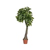 Kunstplant - Pachira L, Green