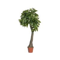 Pottery Pots Kunstplant - Pachira L, Green