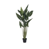 Pottery Pots Kunstplant - Alocasia taro L, Green