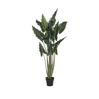 Pottery Pots Kunstplant - Alocasia taro L, Green