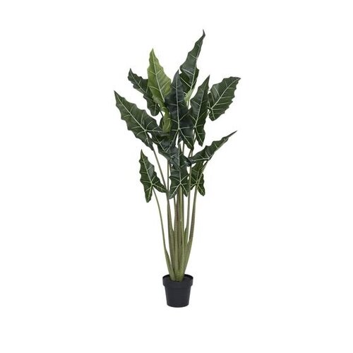 Pottery Pots Kunstplant - Alocasia taro L, Green