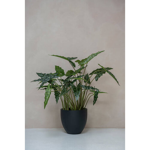 Pottery Pots Kunstplant - Alocasia taro M, Green